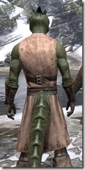 Blacksmith - Argonian Male Close Rear