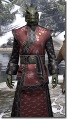 Brilliance Brocade Robes - Argonian Male Close Front