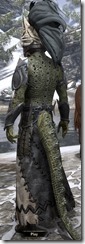 Dark Shaman - Argonian Back