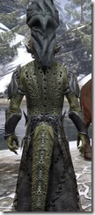 Dark Shaman - Argonian Close Back