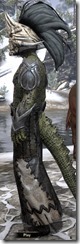 Dark Shaman - Argonian Side