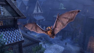 Brown Steeple Bat