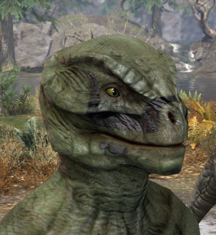 Forsaken Sacrifice Face Markings - Argonian Male Side