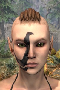 Forsaken Sacrifice Face Markings - Female Front