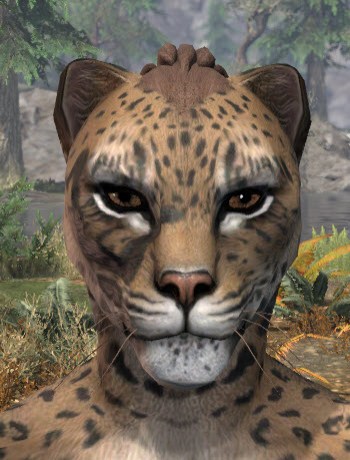 Forsaken Sacrifice Face Markings - Khajiit Female Front