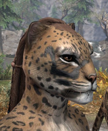 Forsaken Sacrifice Face Markings - Khajiit Female Side