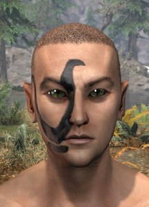 Forsaken Sacrifice Face Markings - Male Front