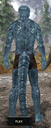 Frosthaunt Glister - Argonian Male Rear