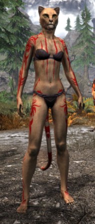 Hircine's Hunt Body Markings - Khajiit Female Front