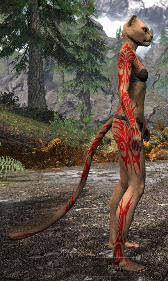 Hircine's Hunt Body Markings - Khajiit Female Right