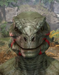 Hircine's Hunt Face Markings - Argonian Male Front