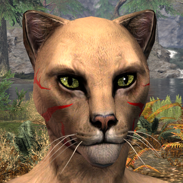 Hircine's Hunt Face Markings - Khajiit Female Front