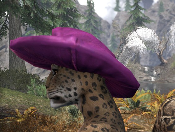 Spirited Soubrette Round Cap - Khajiit Female Side