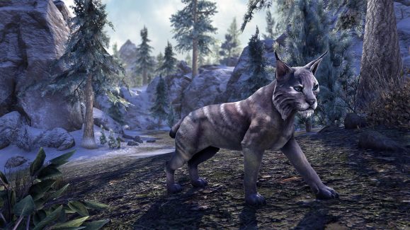 Twilight Striped Lynx