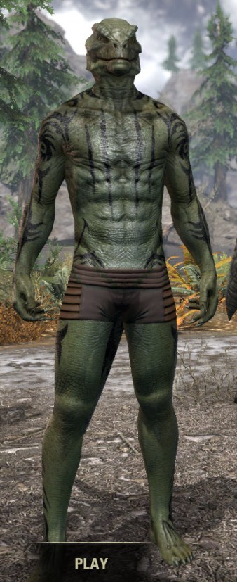 Umbral Snarl Body Markings - Argonian Male Front