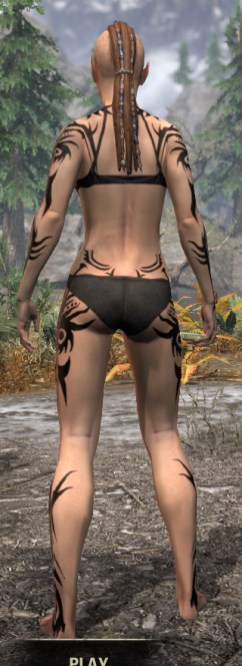 Umbral Snarl Body Markings - Female Rear