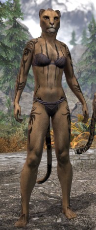 Umbral Snarl Body Markings - Khajiit Female Front