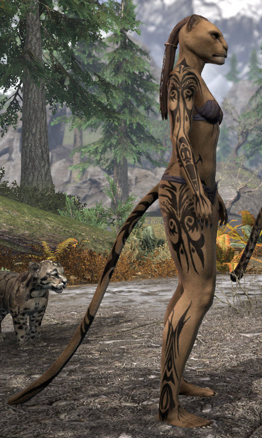 Umbral Snarl Body Markings - Khajiit Female Right