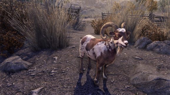 Whiterun Mottled Goat