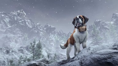 Anthorbred Avalanche Dog