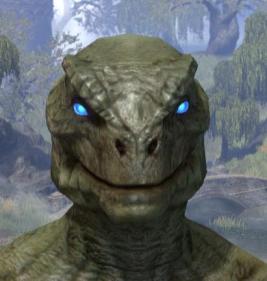 Azure Eyes - Argonian Male Front