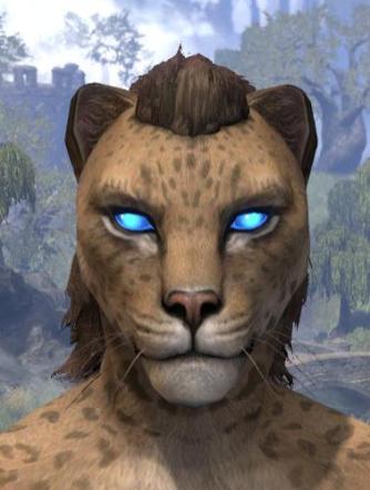 Azure Eyes - Khajiit Female Front