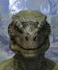 Fortune's Anvil Face Markings - Argonian Male Front