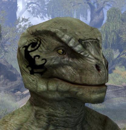 Fortune's Anvil Face Markings - Argonian Male Side