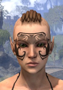 Fortune's Anvil Face Markings - Female Front
