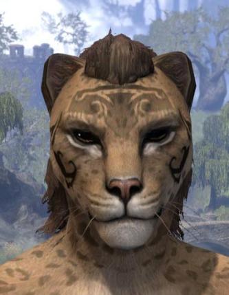 Fortune's Anvil Face Markings - Khajiit Female Front