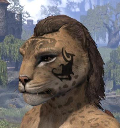 Fortune's Anvil Face Markings - Khajiit Female Side