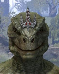 Shrouded Crown - Argonian Male Front