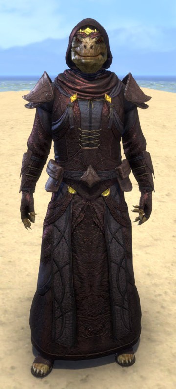 Necropolis Steward Light - Argonian Male Robe Front