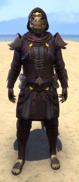 Necropolis Steward Light - Argonian Male Shirt Front