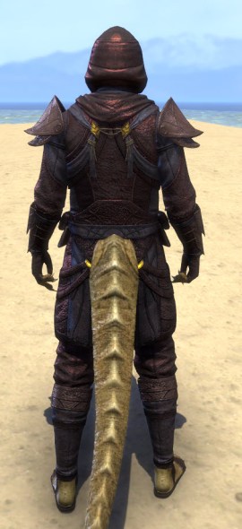 Necropolis Steward Light - Argonian Male Shirt Rear