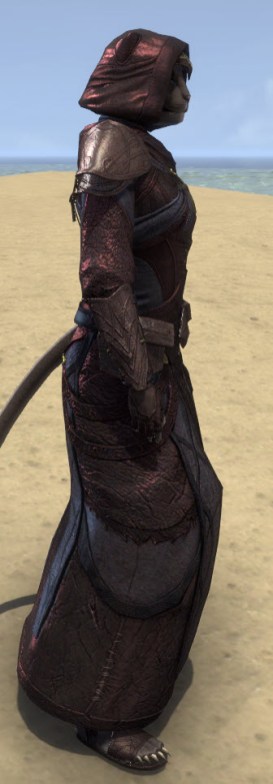 Necropolis Steward Light - Khajiit Female Robe Right