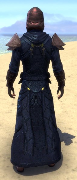 Necropolis Steward Light - Male Robe Rear
