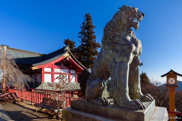 青梅市・御岳山の、武蔵御嶽神社・宝物殿と、狛犬（お犬様）