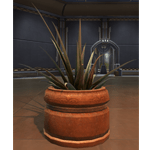Potted Plant: Yavin Octogave Plant