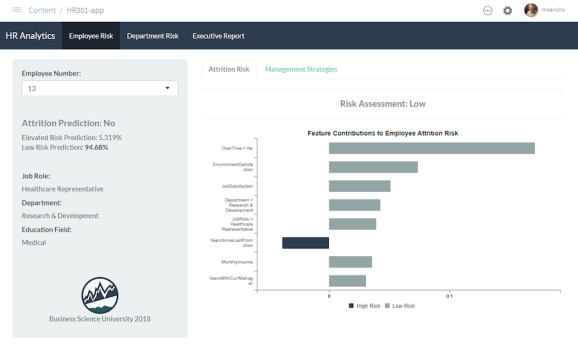 HR 301 Shiny Application: Employee Prediction