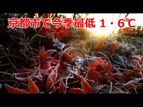 京都市で今季最低1・6℃を記録（2024年12月15日　京都市北区）　Kyoto City records lowest temperature of the season at 1.6°C