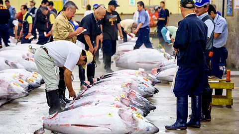 Sean Pavone/Alamy The Tsukiji fish market in Tokyo is a male dominated world (Credit: Sean Pavone/Alamy)