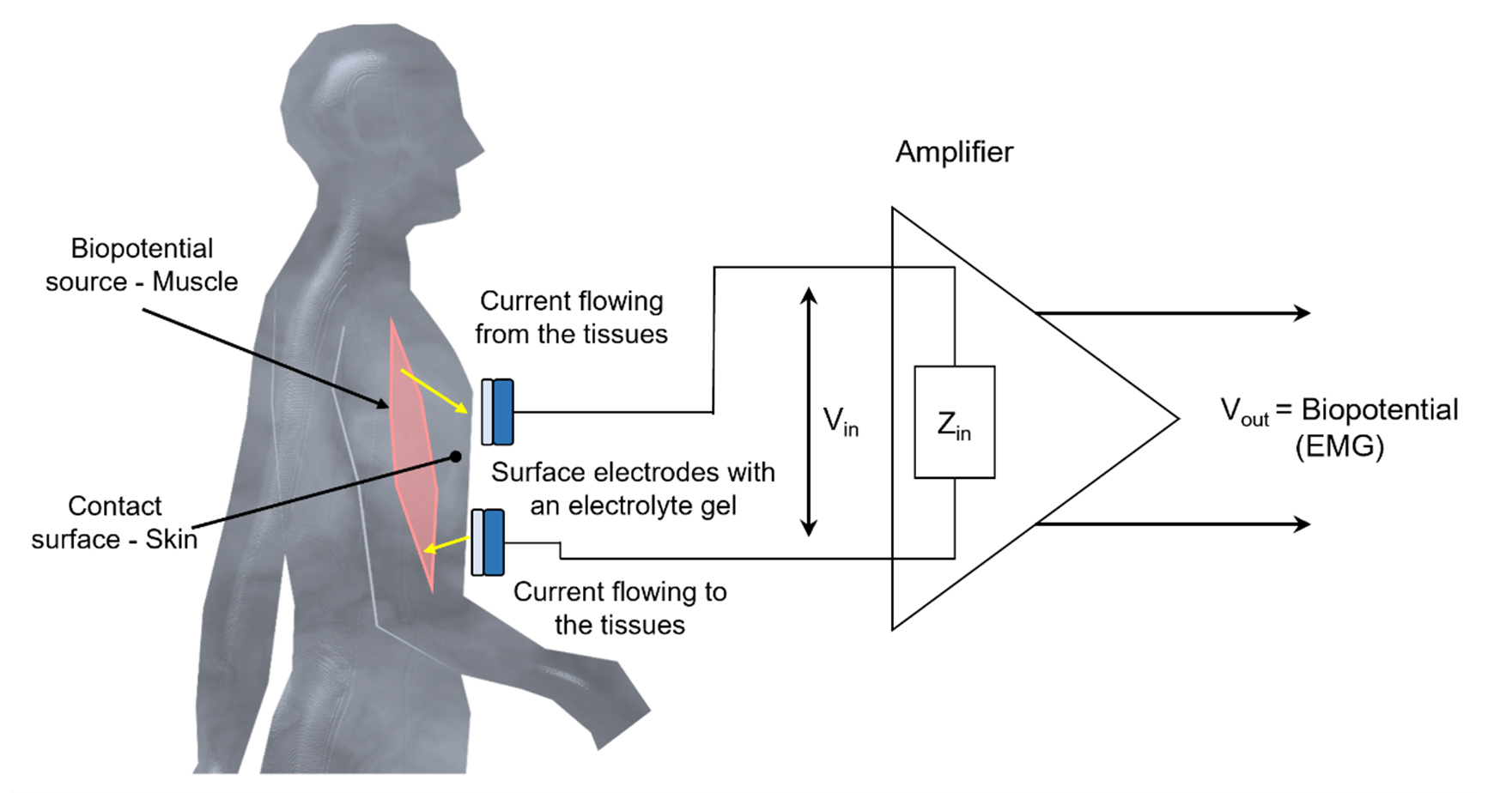 Prospects of soft biopotential interfaces for wearable human-machine interactive devices and applications