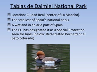 Tablas de Daimiel National Park Location: Ciudad Real (center of La Mancha). The smallest of Spain’s national parks A wetland in an arid part of Spain The EU has designated it as a Special Protection Area for birds (below: Red-crested Pochard or el pato colorado) 