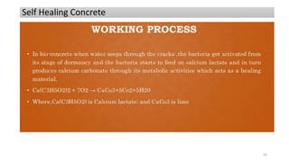 Self Healing Concrete
50
 