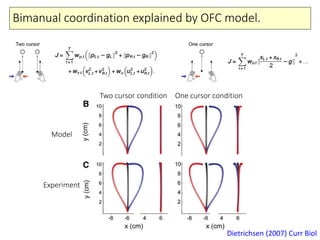 Bimanual coordination explained by OFC model.
Dietrichsen (2007) Curr Biol
Two cursor condition One cursor condition
Model
Experiment
 