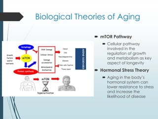 Biological Theories of Aging
 mTOR Pathway
 Cellular pathway
involved in the
regulation of growth
and metabolism as key
aspect of longevity
 Hormonal Stress Theory
 Aging in the body’s
hormonal system can
lower resistance to stress
and increase the
likelihood of disease
 