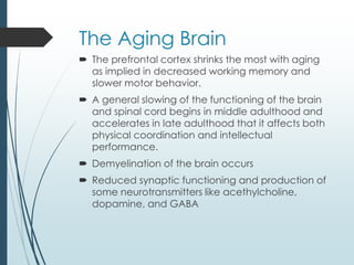 The Aging Brain
 The prefrontal cortex shrinks the most with aging
as implied in decreased working memory and
slower motor behavior.
 A general slowing of the functioning of the brain
and spinal cord begins in middle adulthood and
accelerates in late adulthood that it affects both
physical coordination and intellectual
performance.
 Demyelination of the brain occurs
 Reduced synaptic functioning and production of
some neurotransmitters like acethylcholine,
dopamine, and GABA
 