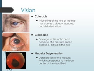 Vision
 Cataracts
 Thickening of the lens of the eye
that causes a cloudy, opaque,
and distorted vision
 Glaucoma
 Damage to the optic nerve
because of a pressure from a
buildup of a fluid in the eye
 Macular Degeneration
 Deterioration of the macula,
which corresponds to the focal
center of the visual field
 