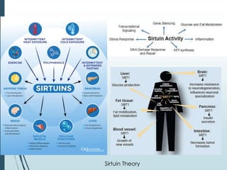 Sirtuin Theory
 